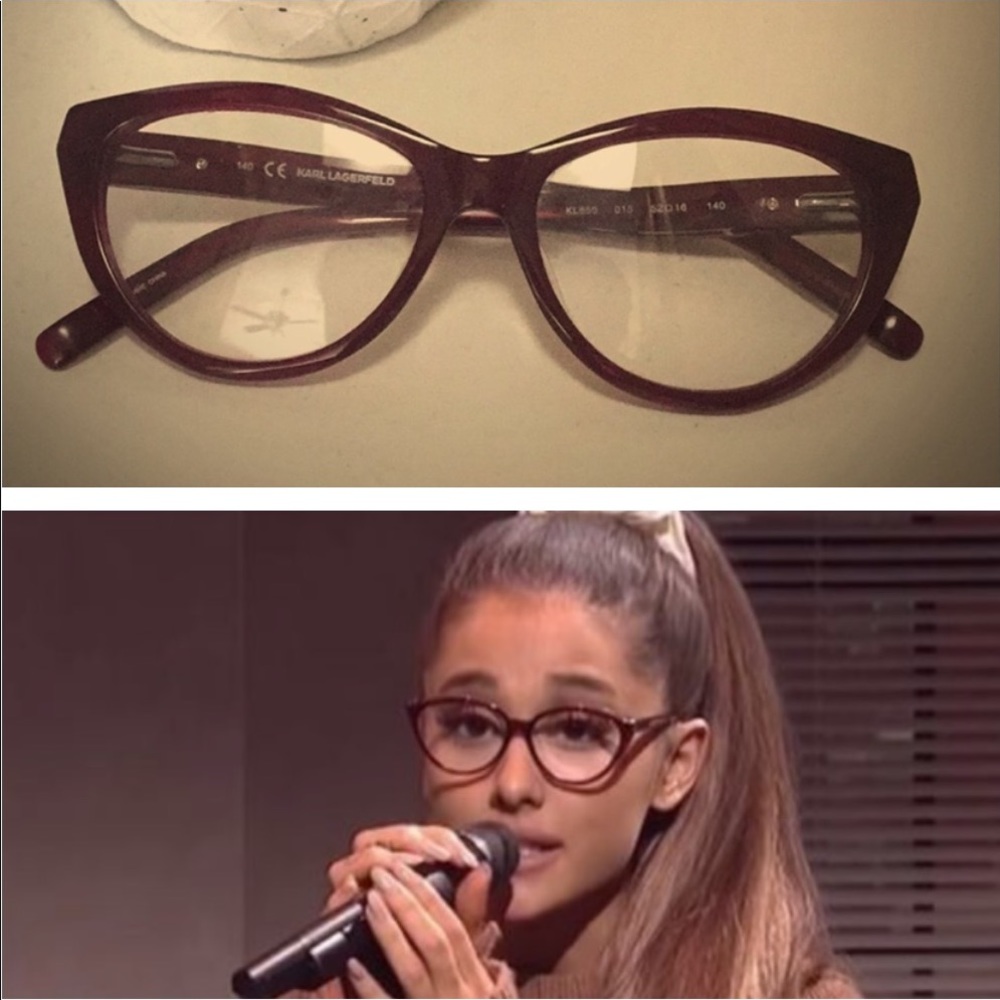 Karl Lagerfield frames